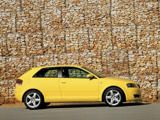 Chip-tuning Audi A3 2003 tot 2008 Chip-tuning Audi A3 2003 tot 2008